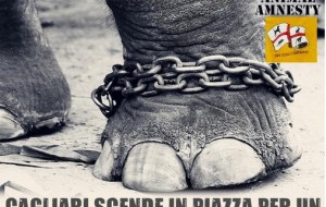 Cagliari scende in piazza per un Circo senza Animali