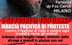 !! MILANO  scende in piazza contro il massacro di   Yulin!! L’orrore  della  “FESTA” DELLA CARNE DI CANE in Cina