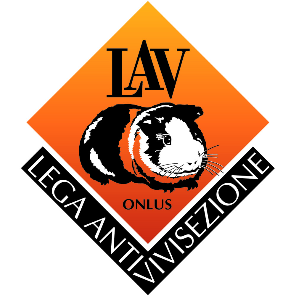 Logo_LAV_2013